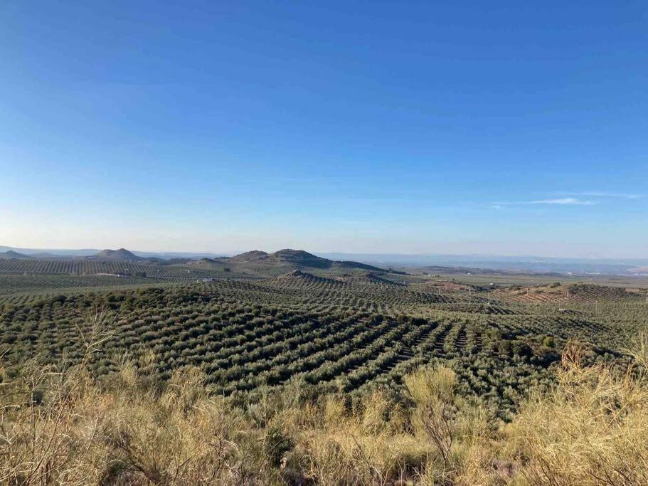 Casa Picual, Mancha Real, Jaen Villa Екстериор снимка