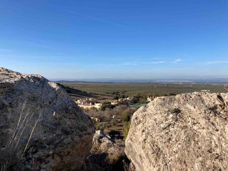 Casa Picual, Mancha Real, Jaen Villa Екстериор снимка
